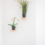 Liiiving In - Secret Grove Mezzanine شقة *