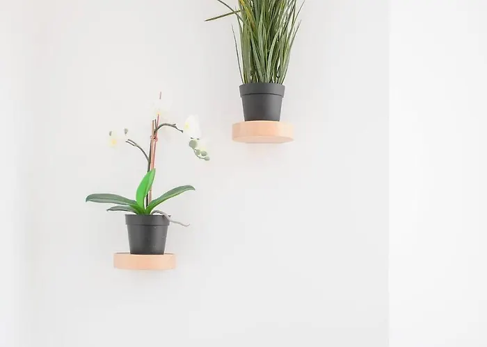 Liiiving In - Secret Grove Mezzanine Apartamento *